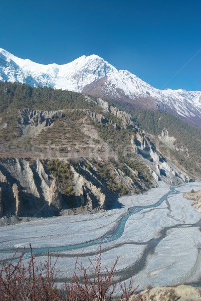 Rivière tibet eau herbe forêt [[stock_photo]] © vapi