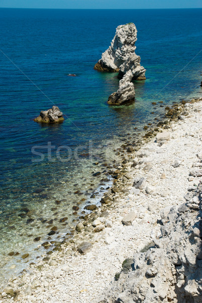 A coastline with many big rocks. Stock photo © vapi