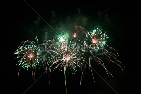 Beautiful salute and fireworks Stock photo © vapi