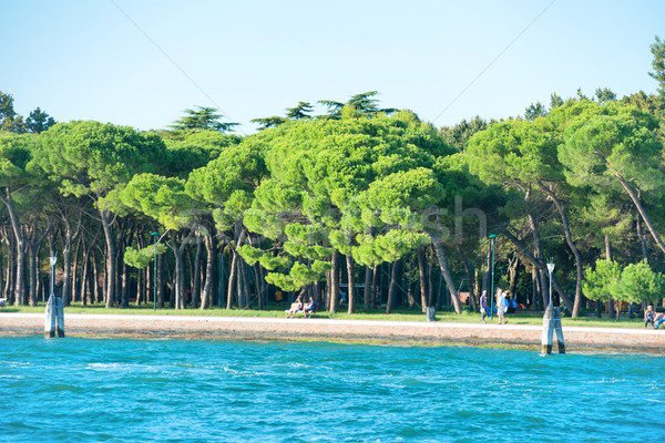 Sea and green park with walking people Stock photo © vapi