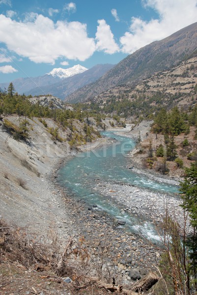 Сток-фото: реке · Тибет · воды · трава · лес
