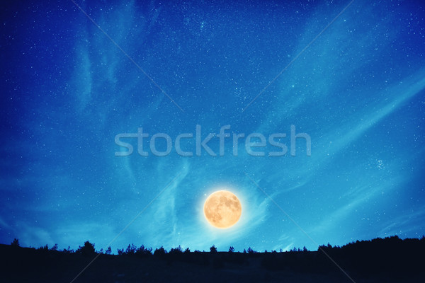 望月 夜 黑暗 藍天 許多 明星 商業照片 © vapi
