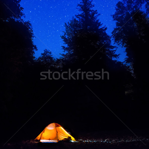 Illuminated orange tent at night in the forest Stock photo © vapi