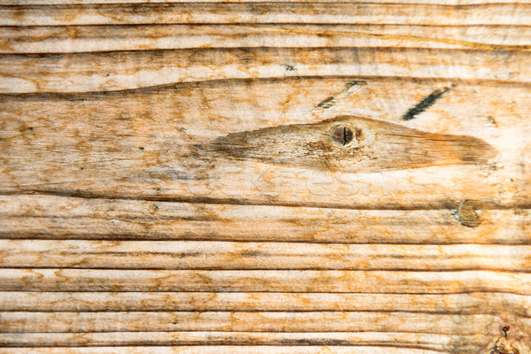 Oude houten textuur eiken hout natuur Stockfoto © vapi