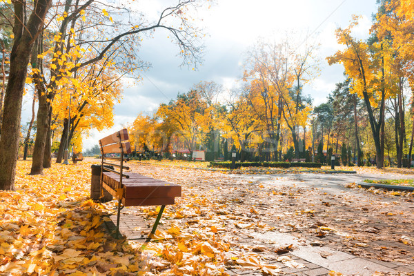 Stok fotoğraf: Geçit · sonbahar · şehir · park · turuncu · yaprakları