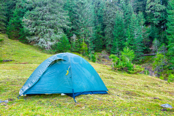 Blue camping tent in a green forest Stock photo © vapi