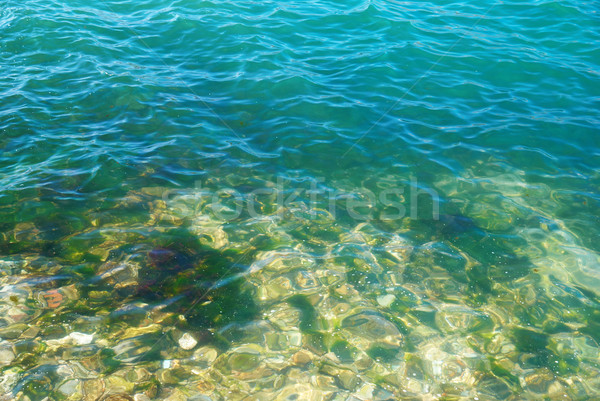 Tropical water Stock photo © vapi
