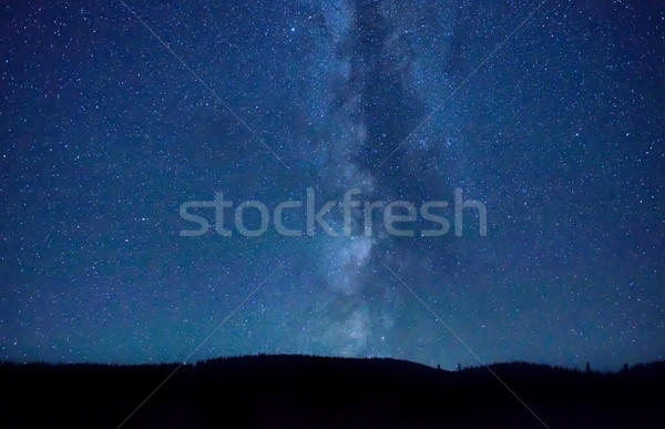 Foto d'archivio: Notte · buio · cielo · blu · molti · stelle · lattiginoso