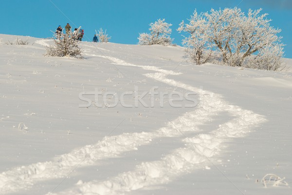 Winter ijzig bos boom zon landschap Stockfoto © vapi