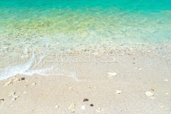 Sea sand beach  Stock photo © vapi
