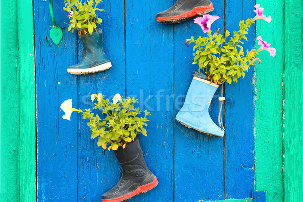 Edad botas de goma flores ninos flores de verano Foto stock © vapi