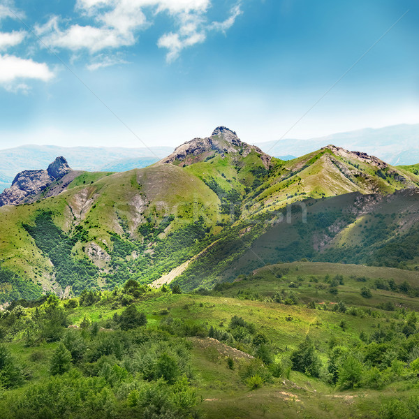 山· 覆蓋 · 森林 · 藍天 · 全景 - 商業照片 08 pavlo vakhrush