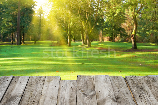 Vedere suprafata verde parc copaci Imagine de stoc © vapi