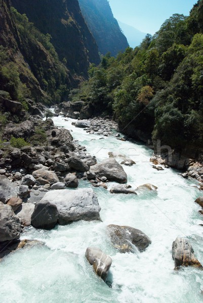 реке Тибет воды трава лес Сток-фото © vapi