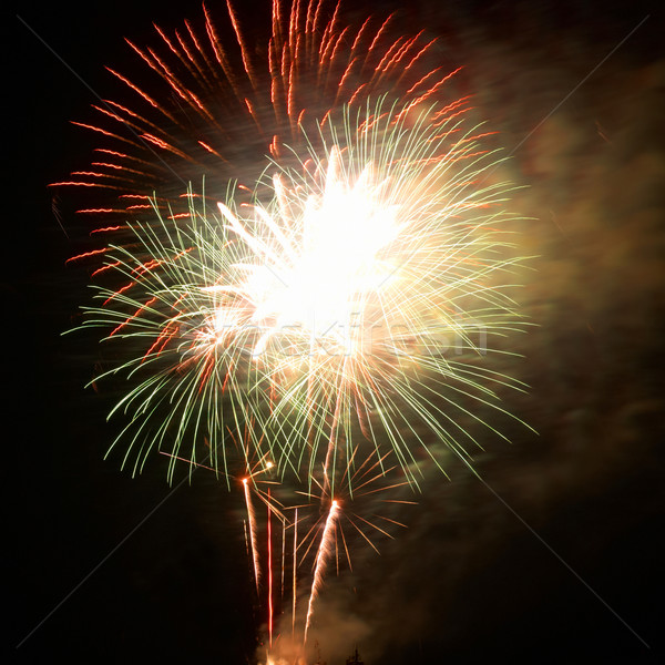 Fireworks, salute Stock photo © vapi