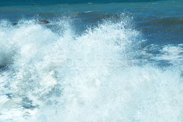 Big wave Stock photo © vapi
