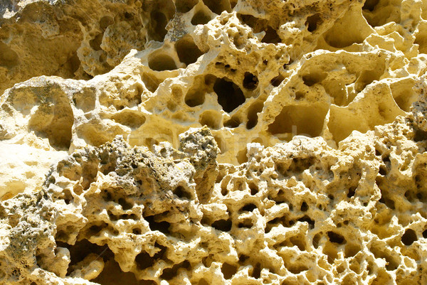 Texture of sandstone. Stock photo © vapi