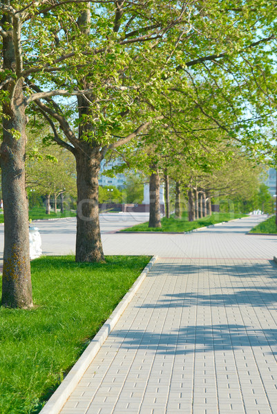 Stok fotoğraf: Geçit · yeşil · park · çim · ağaçlar · bahar