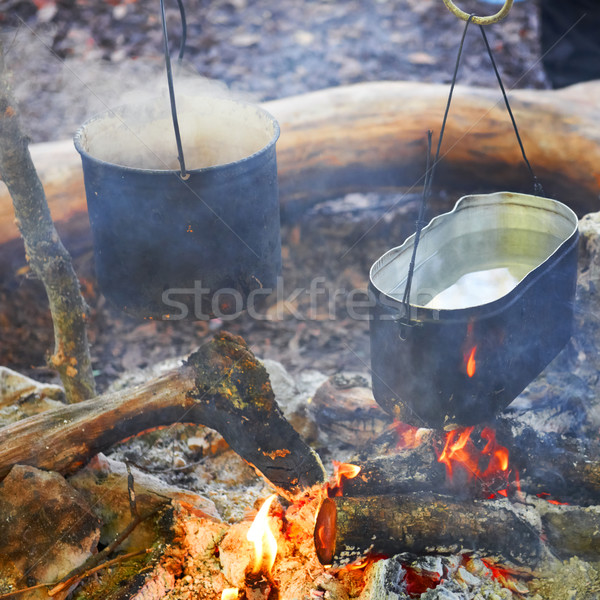 Two pots above the fire. Stock photo © vapi