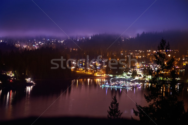 Vue nuit lumières de la ville bleu dramatique [[stock_photo]] © vapi