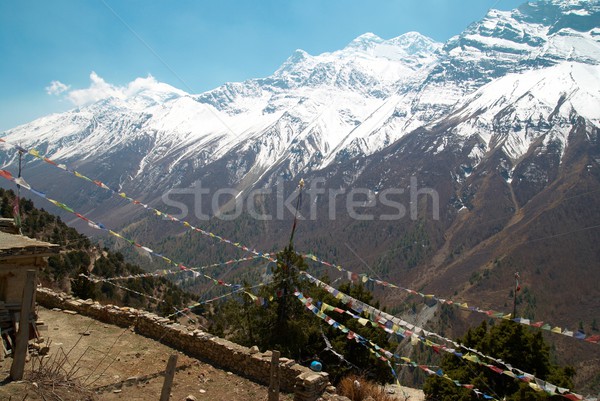 Budista oração bandeiras montanhas Nepal alto Foto stock © vapi
