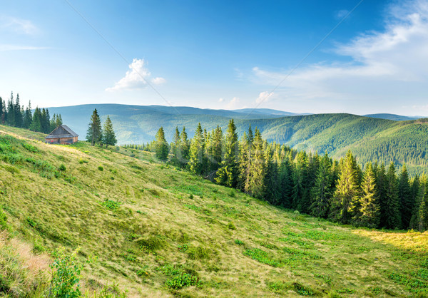 Panorama with green mountains Stock photo © vapi