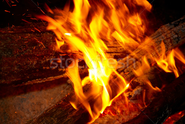 пламени чаевые дрова текстуры аннотация природы Сток-фото © vapi