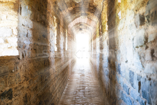 Dark corridor in dungeon Stock photo © vapi