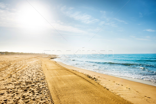 Long beach with sand and sea Stock photo © vapi