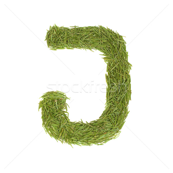Green alphabet, letter J Stock photo © vapi