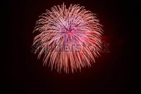 Beautiful fireworks Stock photo © vapi