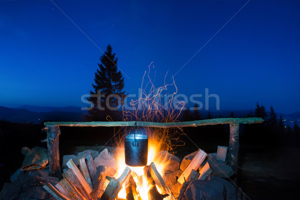 Cooking food in the pot on fire Stock photo © vapi