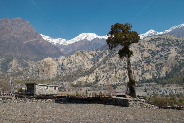 Village montagne ciel bleu route paysage neige [[stock_photo]] © vapi