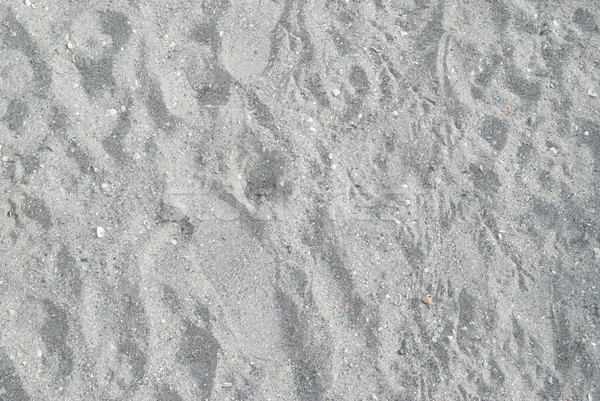 Doku gri kum can kullanılmış soyut Stok fotoğraf © vapi
