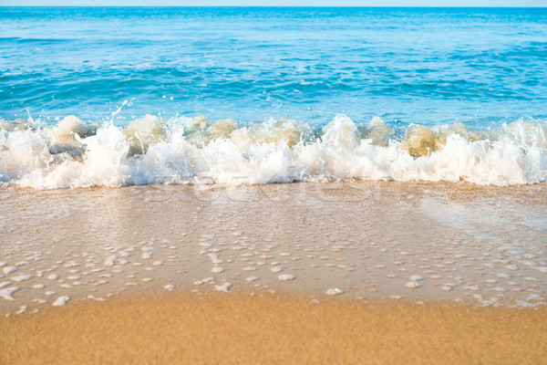 Plage tropicale sable mer vague plage ciel [[stock_photo]] © vapi