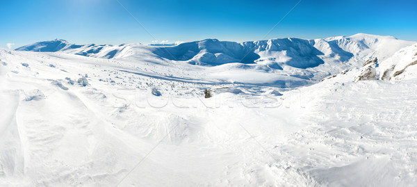 Panorama of white winter mountains Stock photo © vapi