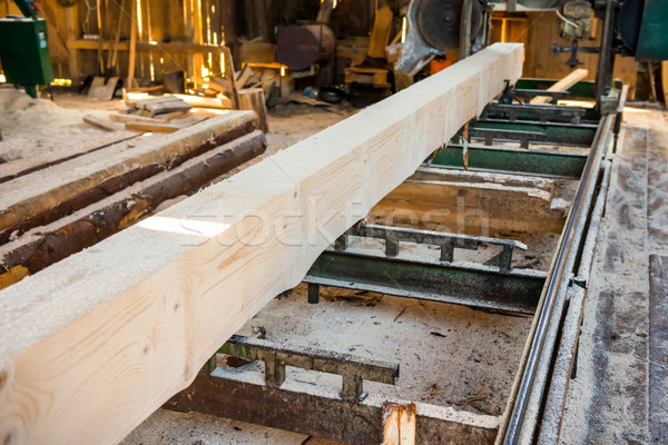 log in the timber factory Stock photo © vapi