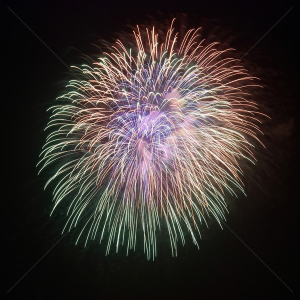 Beautiful fireworks Stock photo © vapi