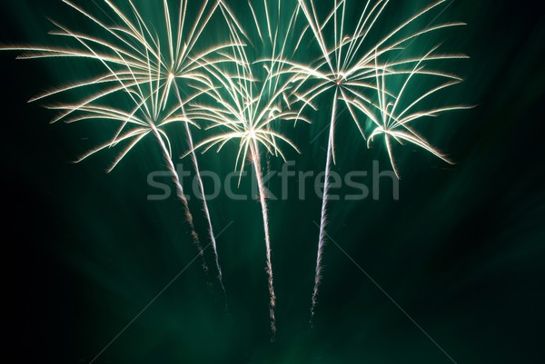 Gyönyörű tűzijáték fekete égbolt fény háttér Stock fotó © vapi