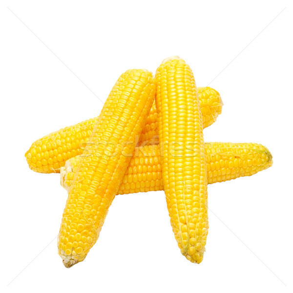 Yellow young corns isolated on white. Stock photo © vapi