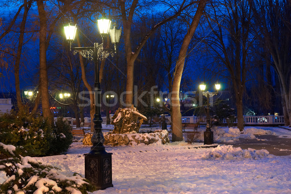 城市夜景 現場 燈 雪 樹 春天 商業照片 © vapi