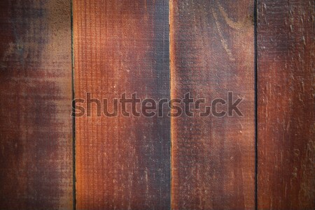 текстуры можете используемый ель древесины Сток-фото © vapi