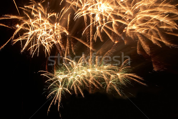 Színes tűzijáték fekete égbolt víz boldog Stock fotó © vapi