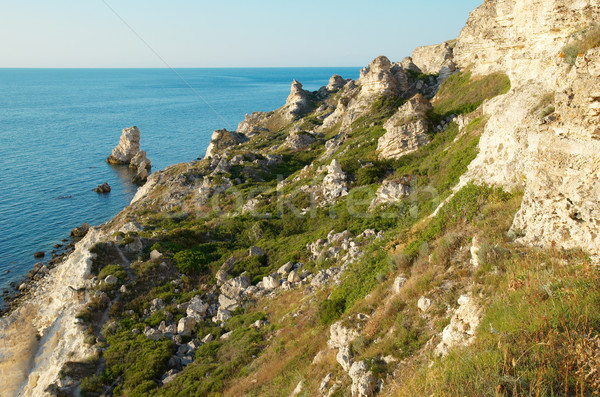 A coastline with many big rocks. Stock photo © vapi