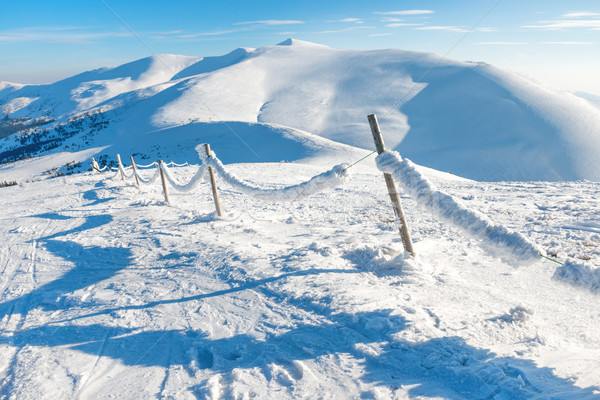 Cerca neve inverno alpino aldeia gelo Foto stock © vapi