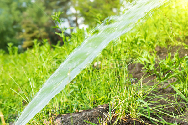 Foto d'archivio: Sprinkler · verde · prato · fresche · erba