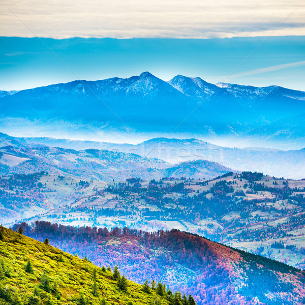 Stockfoto: Mooie · Blauw · bergen · groene · heuvels · zonsondergang