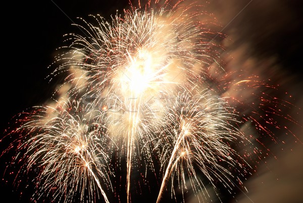 Fireworks, salute. Stock photo © vapi