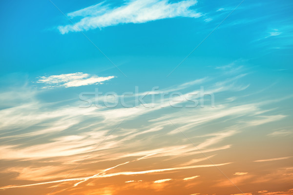 Beautiful sunset blue and orange sky Stock photo © vapi