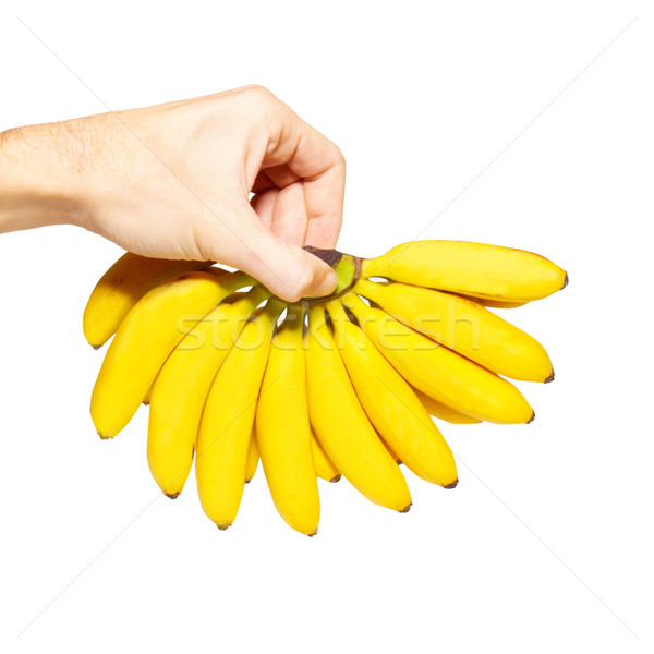 Stock photo: Butch of small bananas in a hand.